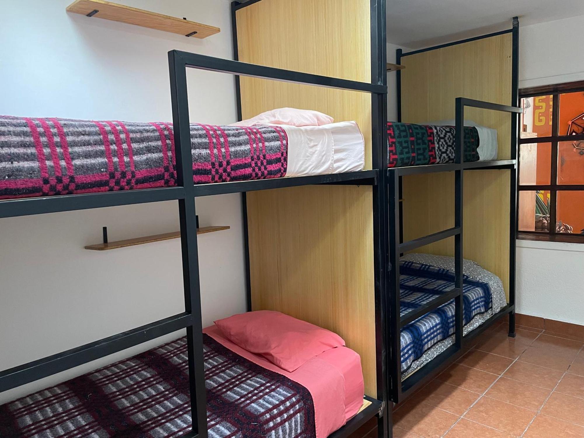 Cama en habitación compartida mixta de 4 camas